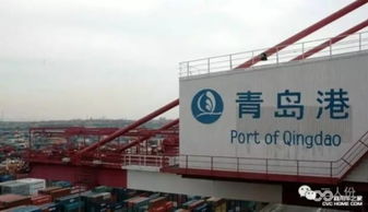 供给侧改革助力青岛转型升级 财务代理服务增强经济增长动力