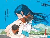 夏日恋歌